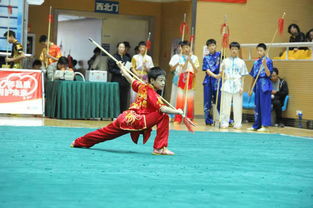 2019年北京市中小学武术公开赛举行